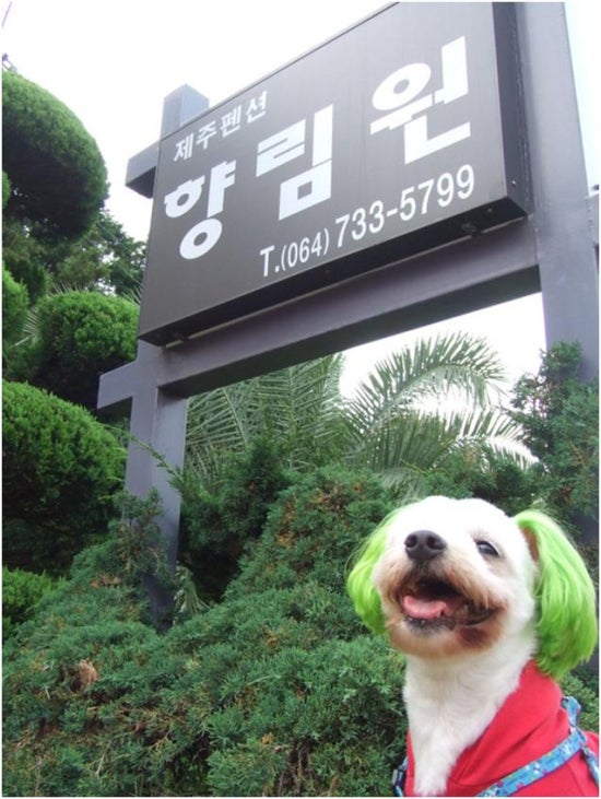 향림원펜션 이미지