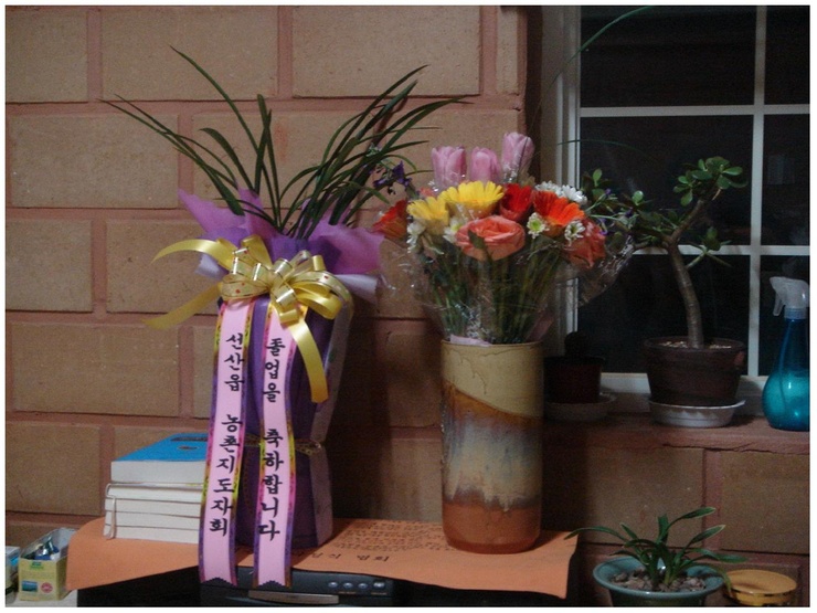 나무꾼조경 이미지