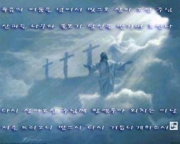 성훈악기 이미지