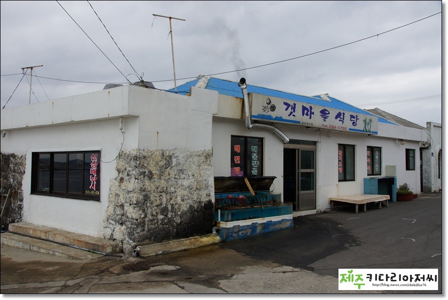 갯마을식당 이미지