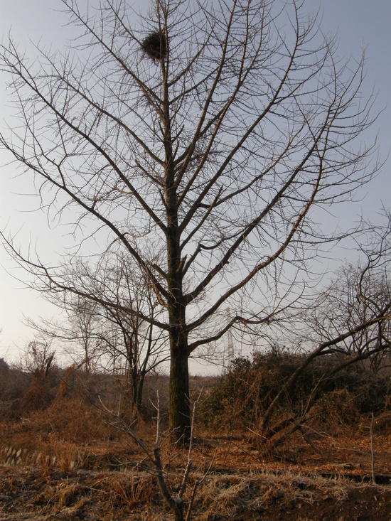 나산조경 이미지