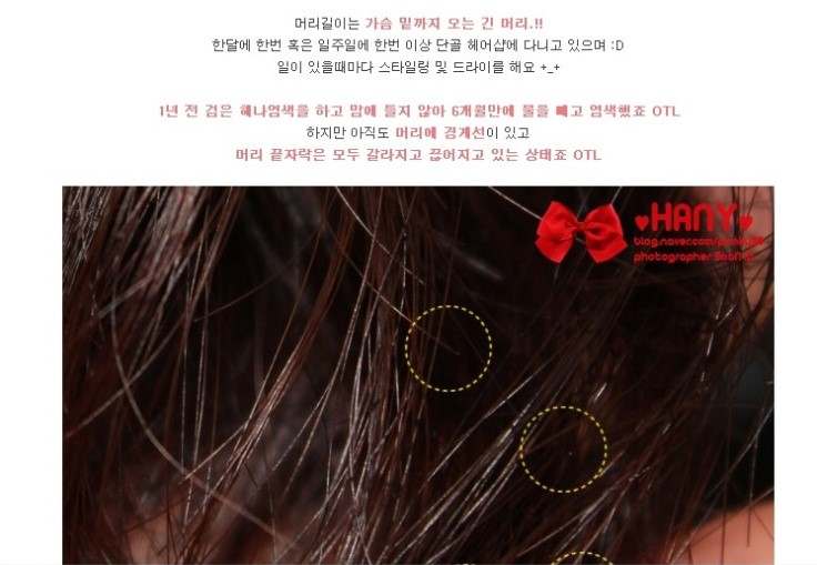 온스타일헤어 이미지