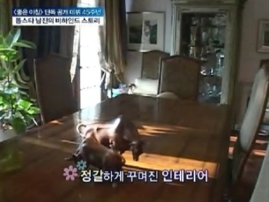 남진인테리어 이미지