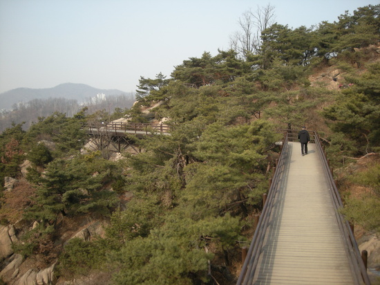 (유)목인 이미지
