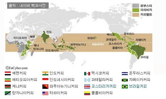 엠커피 이미지