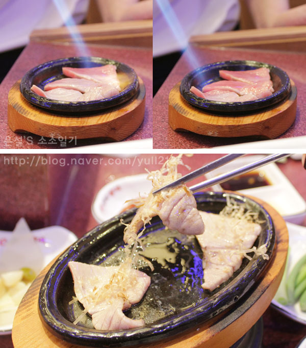 이어도참치 이미지