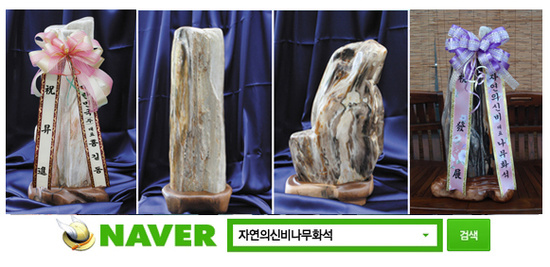 (주)자연의 신비 이미지