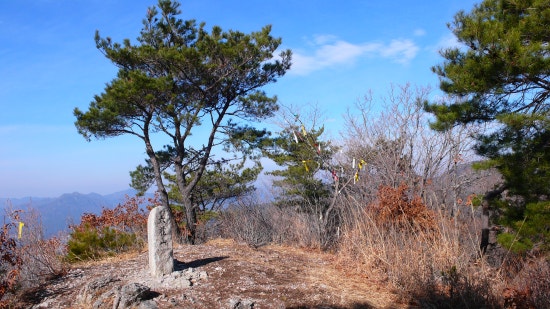 송림주유소 이미지