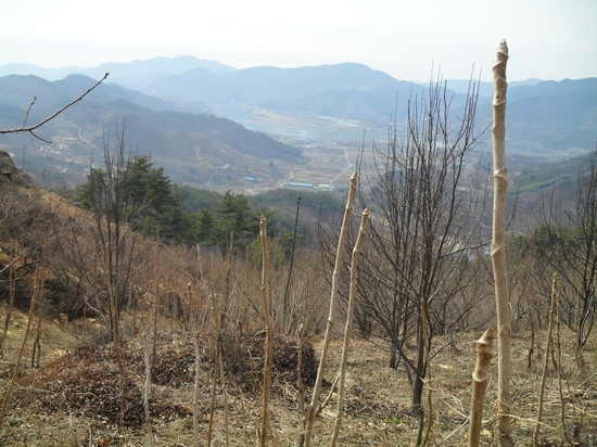 산울농원 이미지