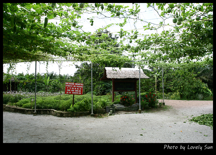 과일Farm 이미지