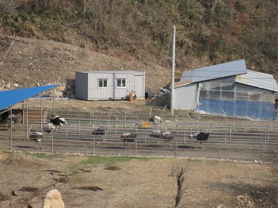 중리옷마을 이미지