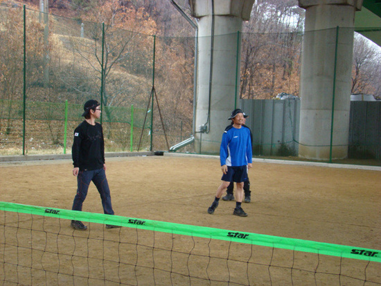 영초산삼 이미지