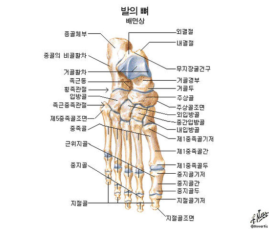 스포츠경락맛사지 이미지