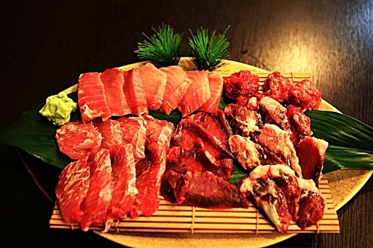 청참치 이미지
