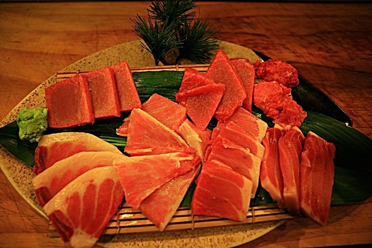 청참치 이미지