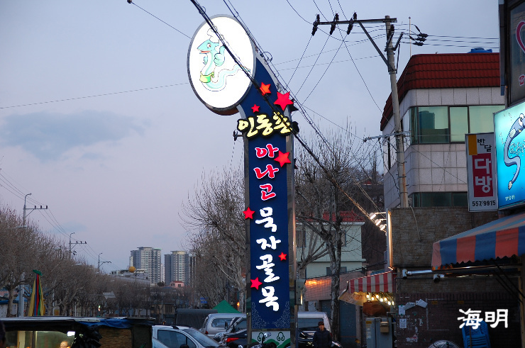 아나고대가리 이미지