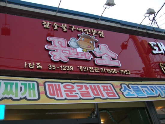 꽃보다소 이미지