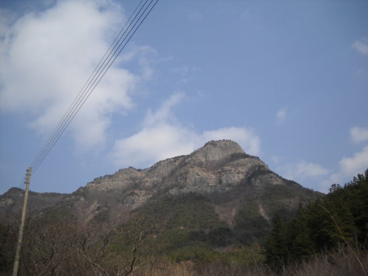 애림농원 이미지