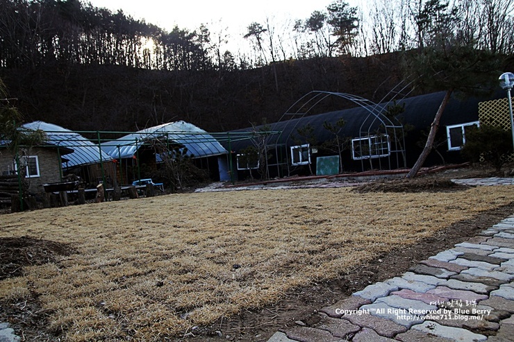 그린맥스영농법인 이미지