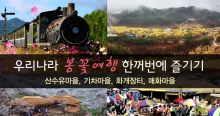 춘천닭갈비가떴다 이미지