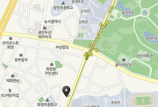오라클헤어 이미지
