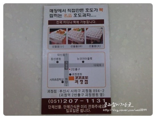 코코호도사하 이미지