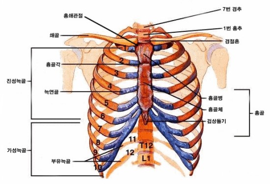 더코성형외과 이미지