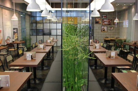 미소야강남 이미지