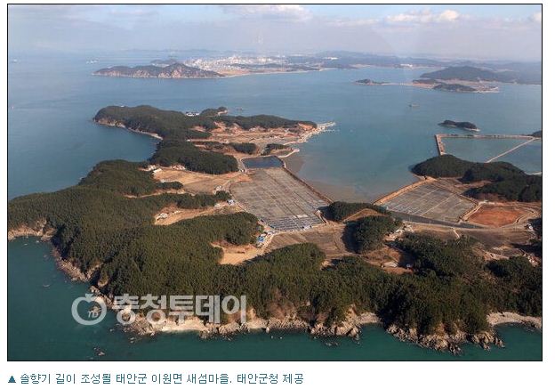 솔향기환경 이미지