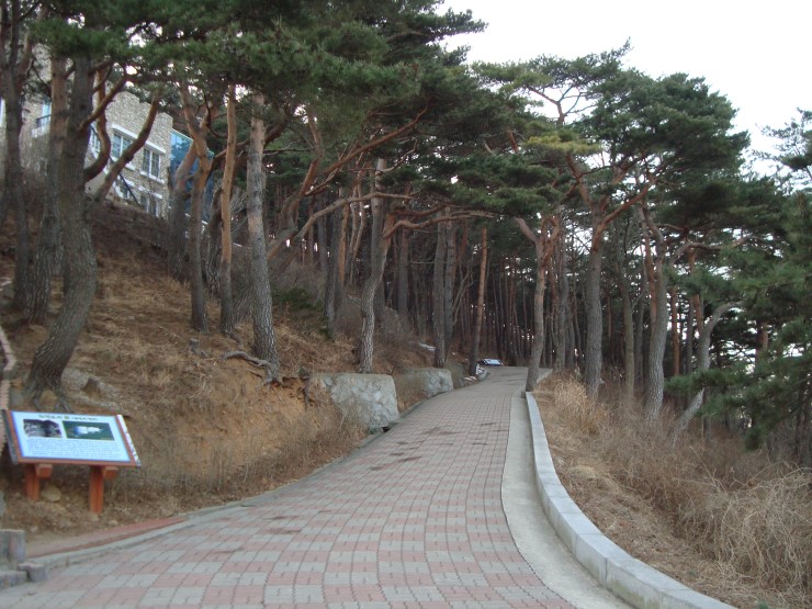 낙산주유소 이미지