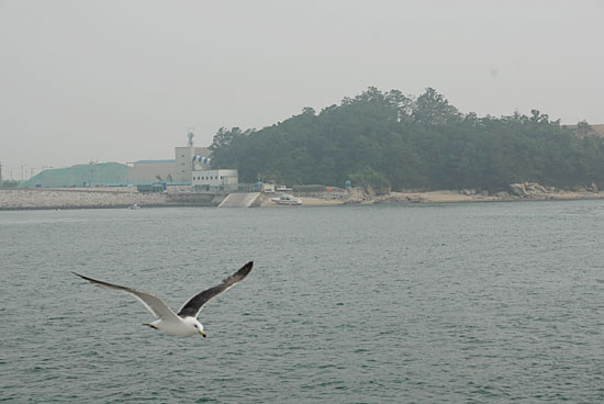 태림산장 이미지