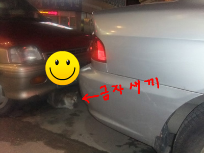 금자씨네 이미지