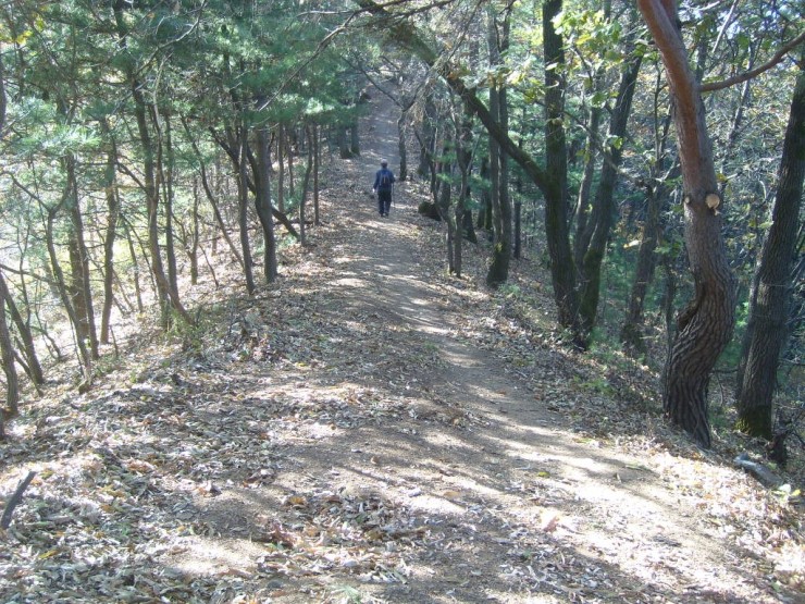 올레농산물 이미지