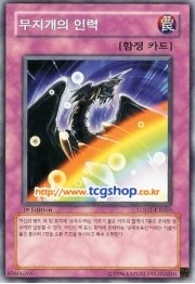 무지개인력 이미지