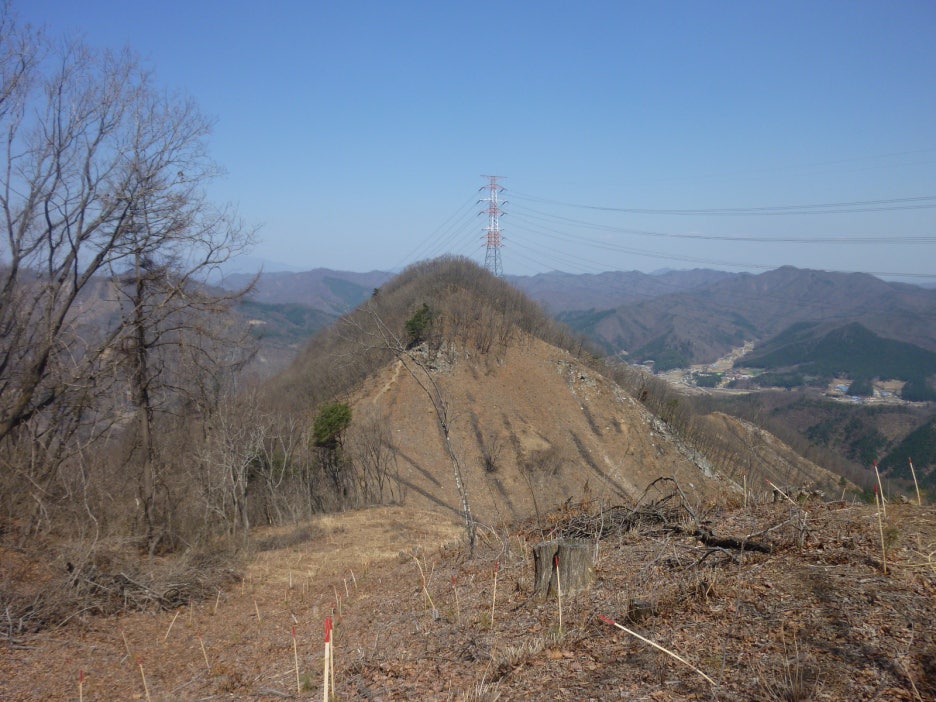 왕터산 정상 이미지