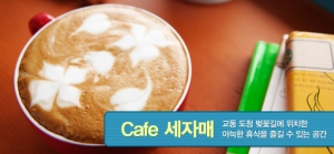 비비슈 이미지