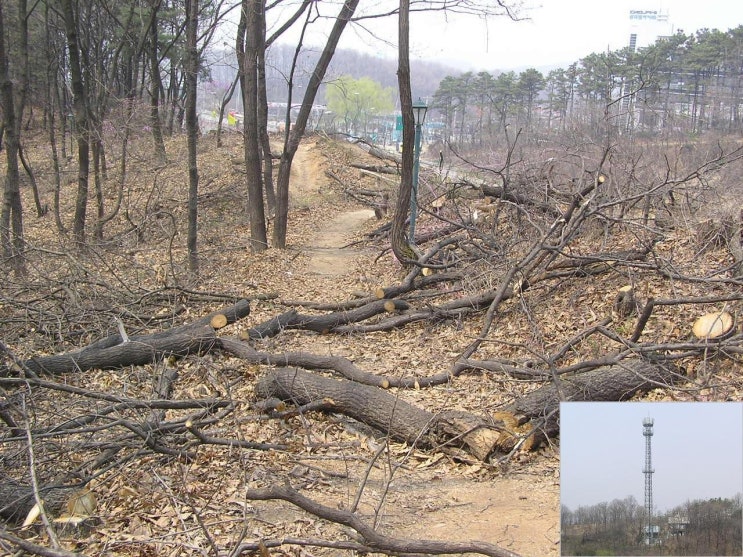 동백LPG충전소 이미지