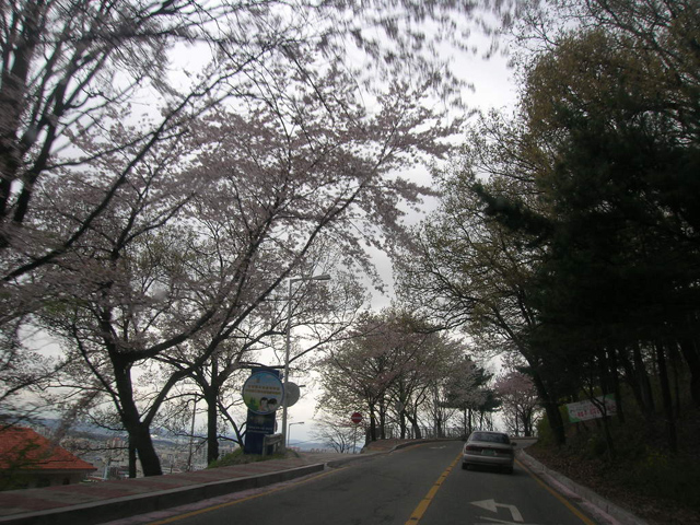 광장직업소개소 이미지