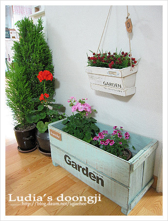 사과정원 이미지
