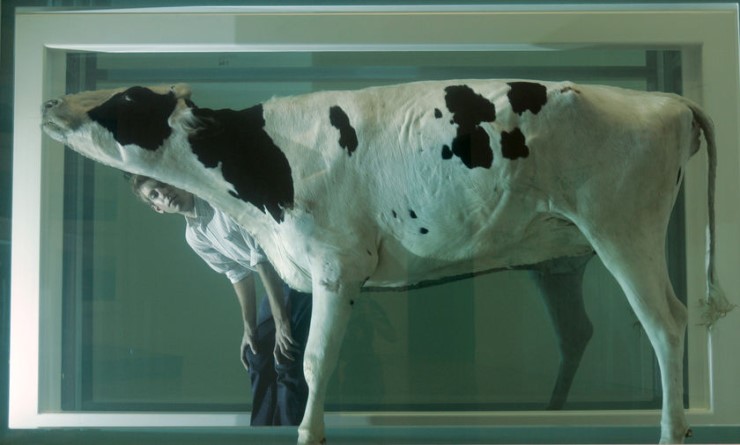 허스트(Hirst) 이미지