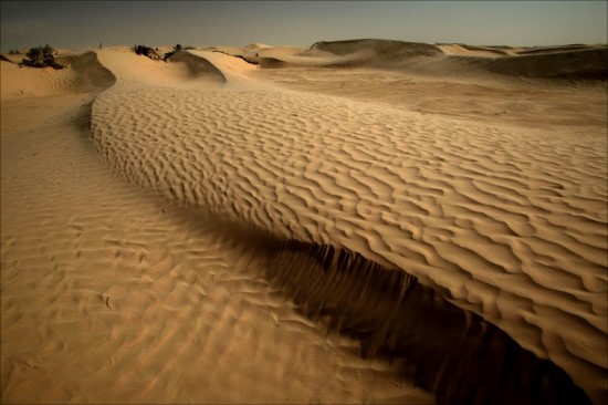사하라(SAHARA) 이미지