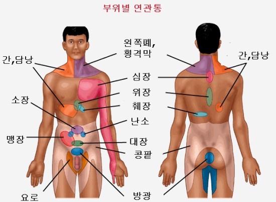 둔전한의원 이미지