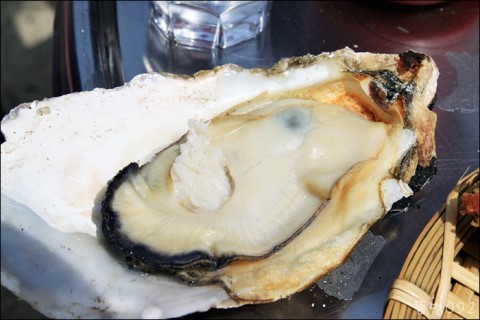 벚굴식당 이미지