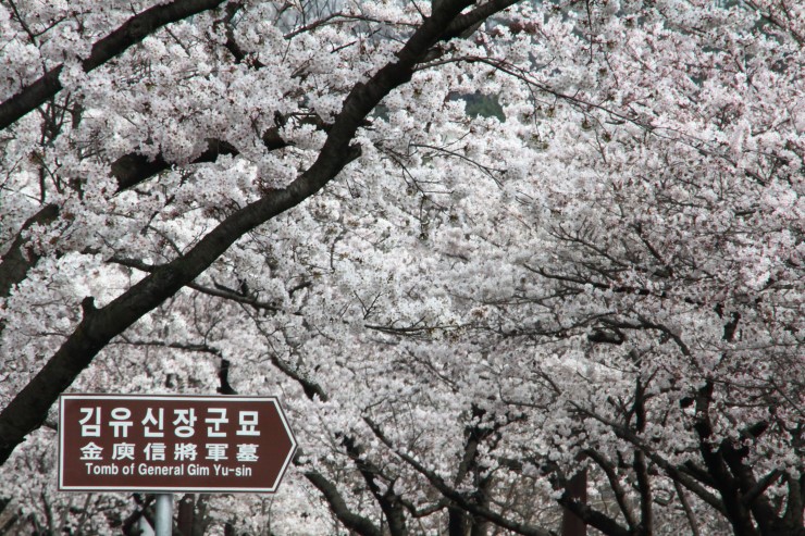 (주)여행장군 이미지