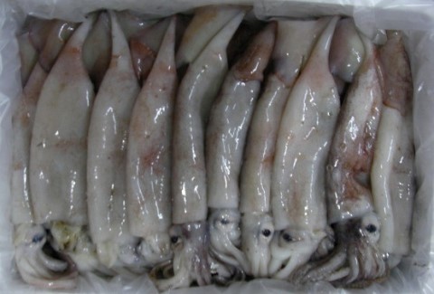 통큰할인마트 이미지
