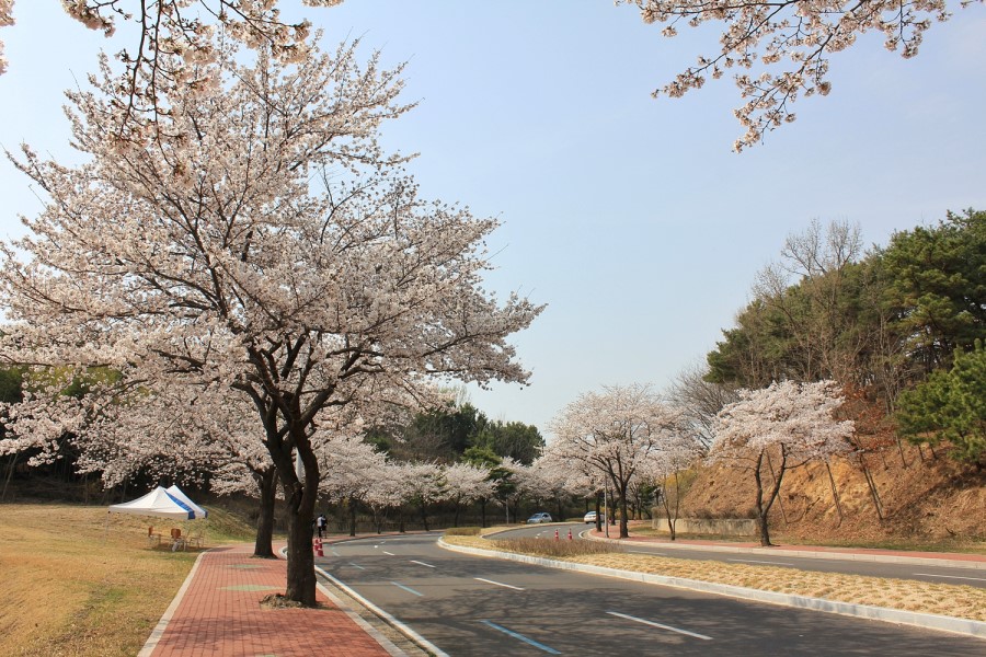 공군교육사령부 이미지