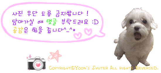 컴114 이미지