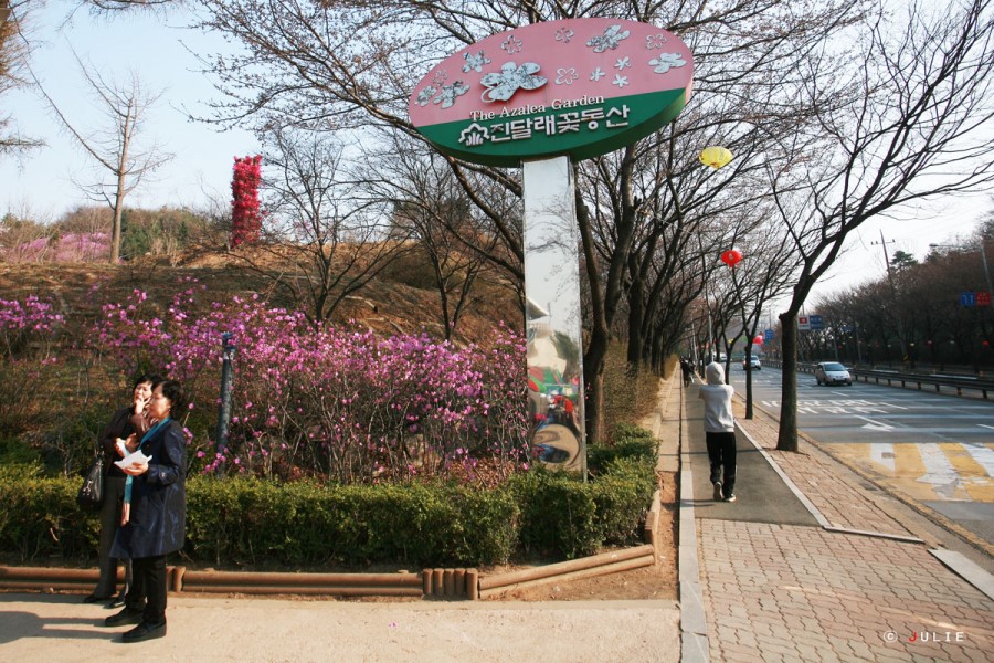 꽃동산문구 이미지