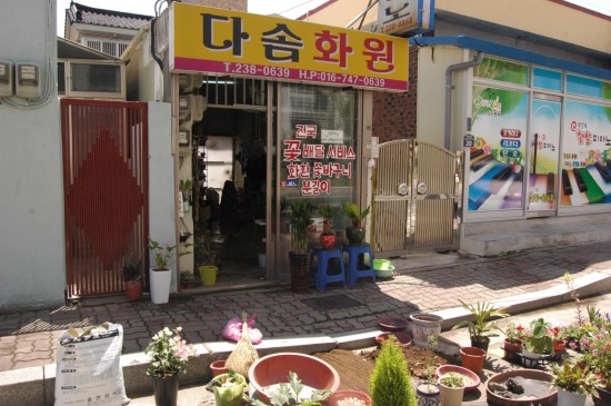 다솜화원 이미지