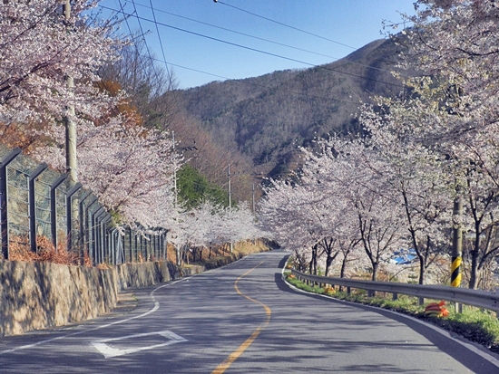 병암민박 이미지